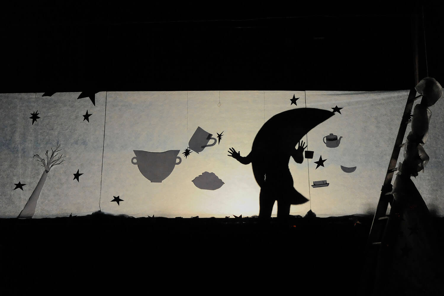 Polna luna in shujševalna kura